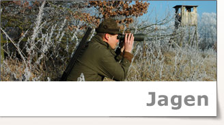 Jagen
